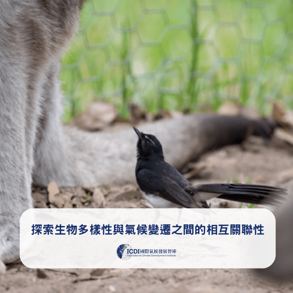 探索生物多樣性與氣候變遷之間的相互關聯性