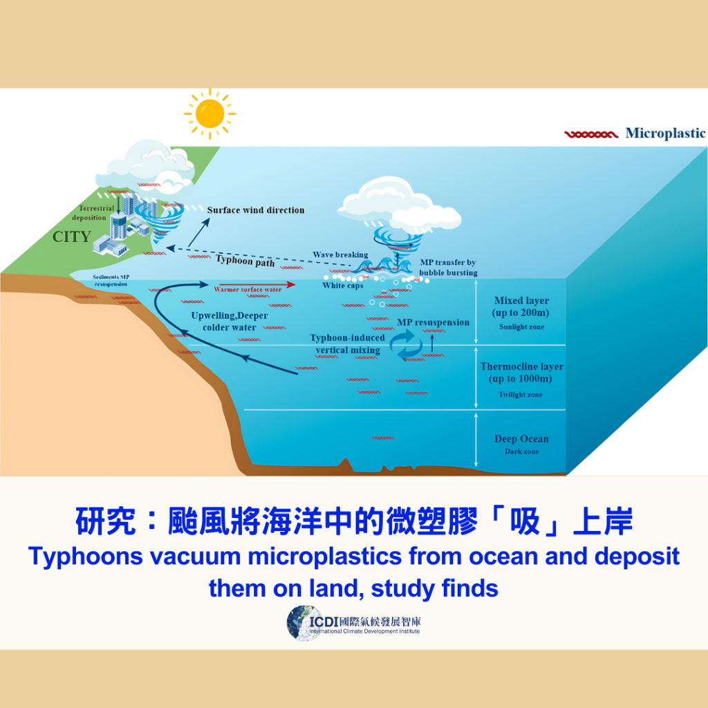 研究：颱風將海洋中的微塑膠「吸」上岸