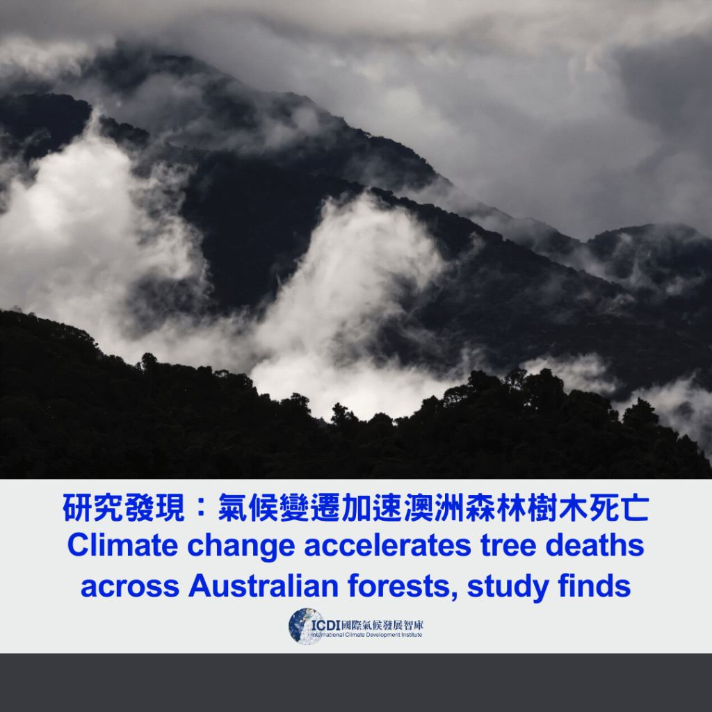 研究發現：氣候變遷加速澳洲森林樹木死亡