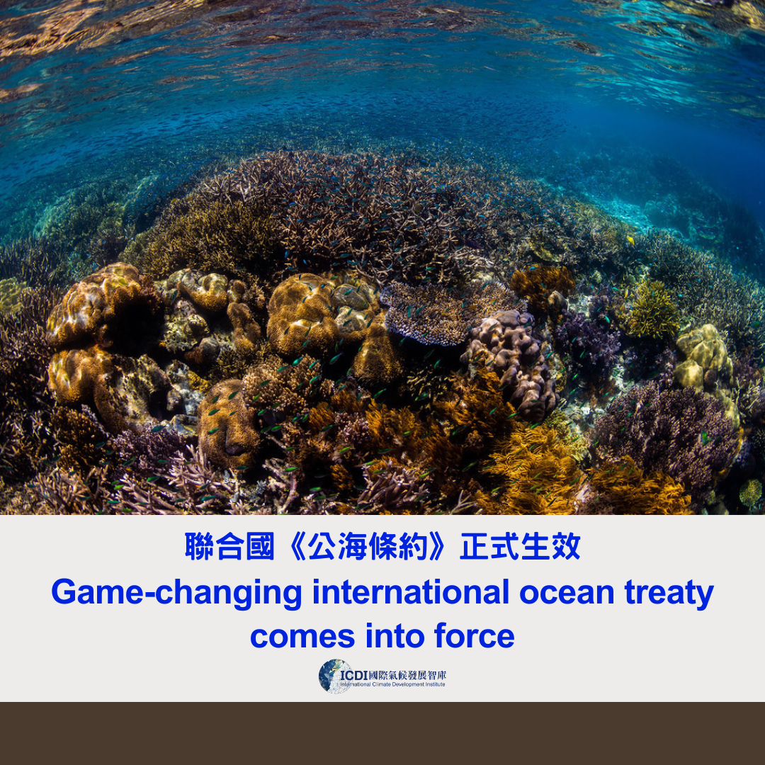 聯合國《公海條約》正式生效 – International Climate Development Institute