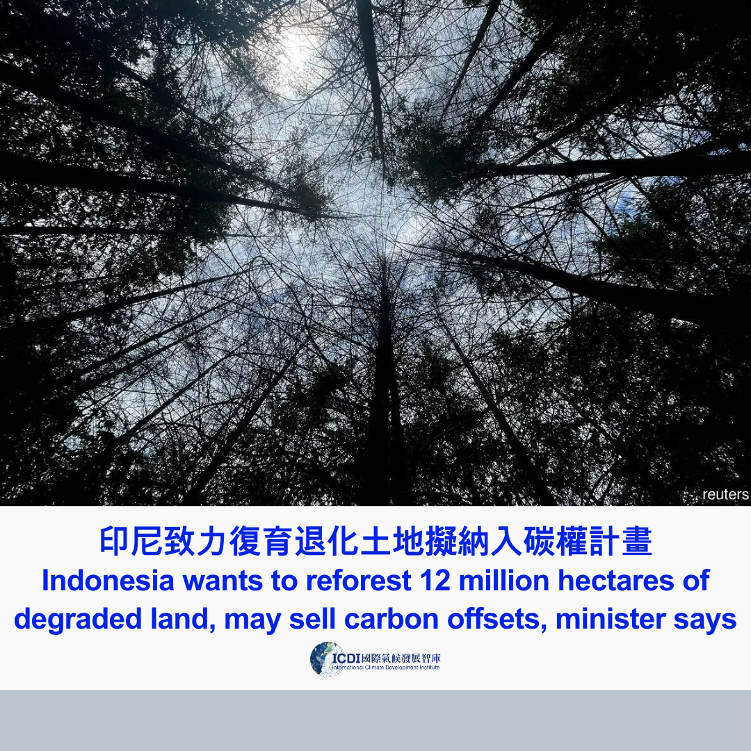 印尼致力復育退化土地 擬納入碳權計畫