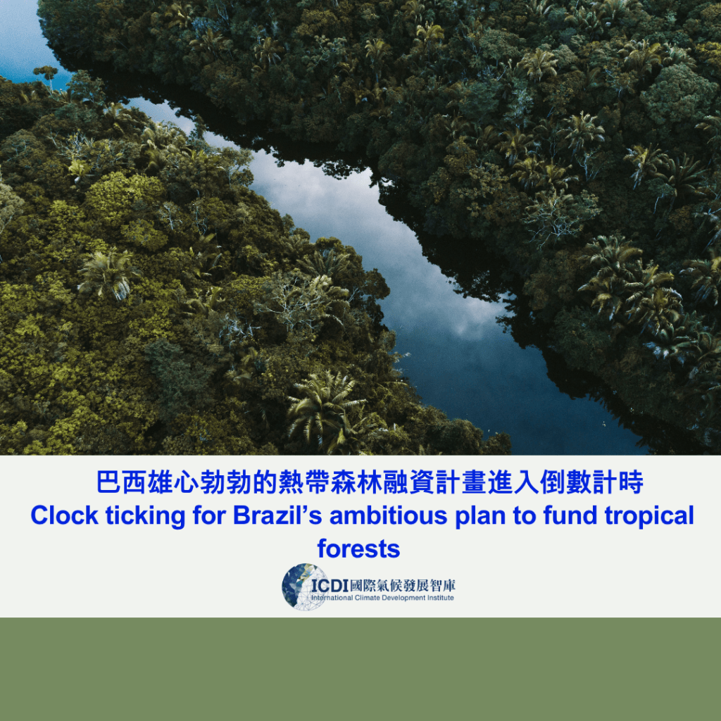 巴西雄心勃勃的熱帶森林融資計畫進入倒數計時